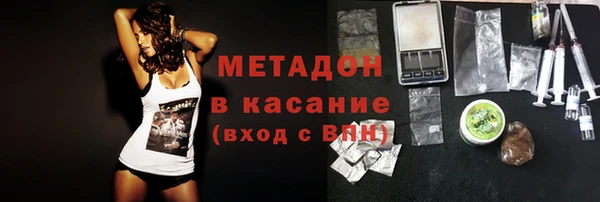 шишки Лагань