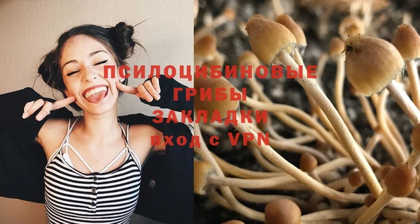 прущие крисы Арсеньев