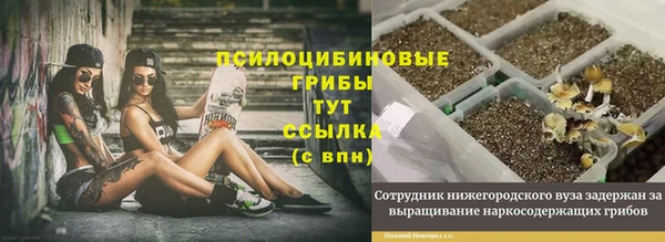 тгк Аркадак