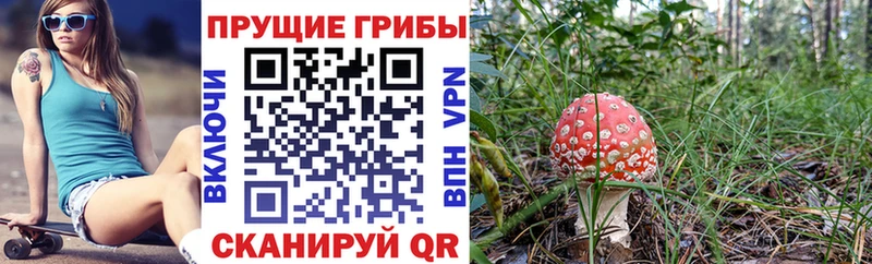 Галлюциногенные грибы мухоморы  купить   Поронайск 
